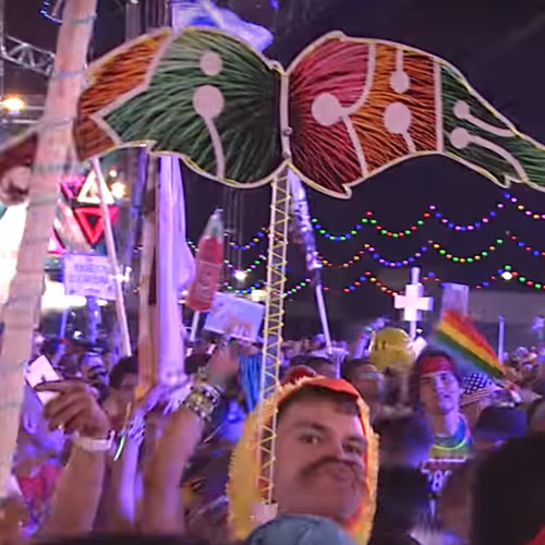 Crypto_dude_11 Collection