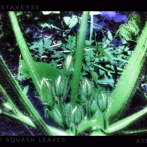 3787080761074609709675817509753112159059746763483256848434353603975896367109