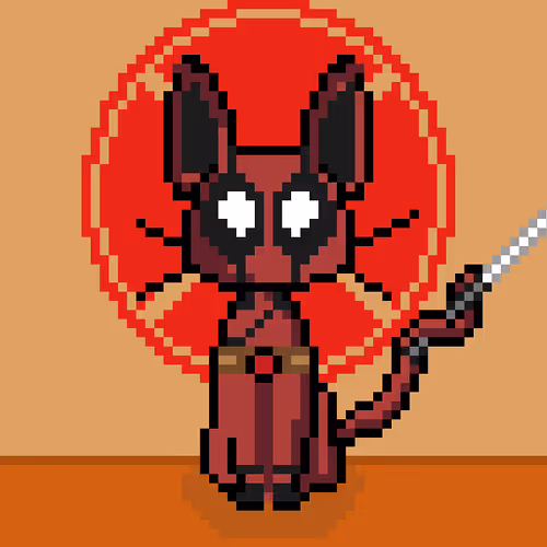 #14 DP Cat