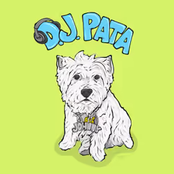 DJ Pata