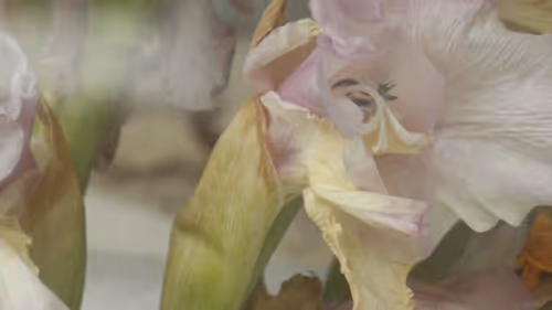 Item #40692806544472458759699307729565979606981443447585886335274303286587575762945 Media