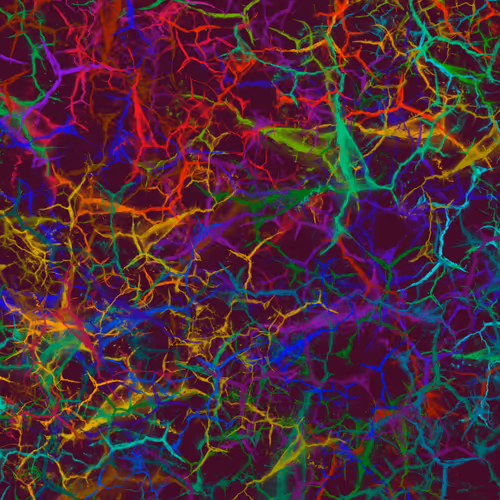 Item #50918555062582210159273167721725581522404743190091886750106034890490190495745 Media