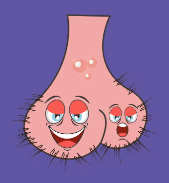 Item #22793047471806318065020766672709763262679883798276267629942525588683666489345 Media