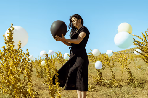 Dark Poem of Humanity Editions