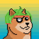 CyberDoge