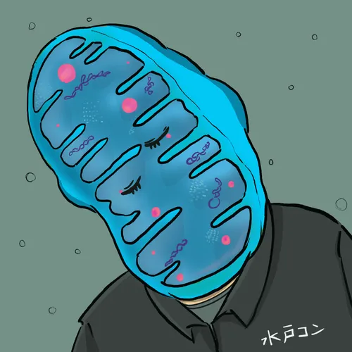 4769008451983582349086930720137593090484070301656661485443034159842466988033