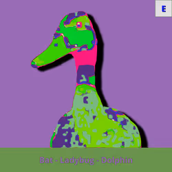 73474911565276893363269127585336255498112534630235322163062146381684125204481