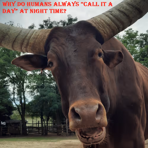 51313302132644519913343847646347811445510524411913136629935896429948705964033