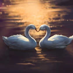 Valentine's Day