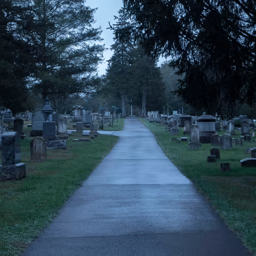 The Path Of Life