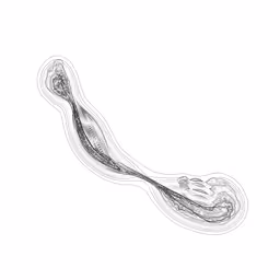 Item #87495691051819618160782043165871758120745529937108859909899536581295152824321 Media