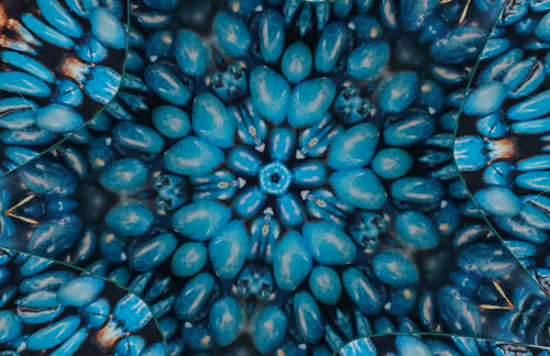 Item #39425846421802280996231740338929997167545085552399292352466571976883553959937 Media