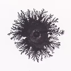 93517858934538610296799104720857224042243540248850289661824237403399539130369