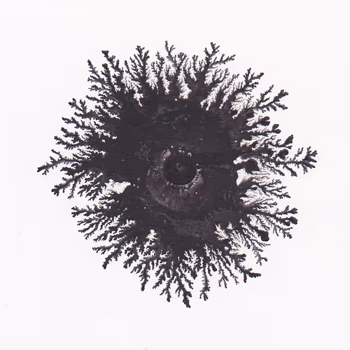 Item #93517858934538610296799104720857224042243540248850289661824237403399539130369 Media