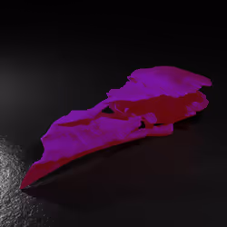 20250001323464517401306315509532802406644919304029953922967480075270708264961