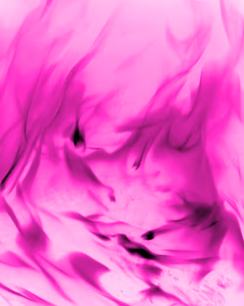 Item #20017967380901690084241553034656833281118552242077922707542247224251665874945 Media