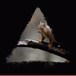 47735831019485783458656614174484110882606090431151176624954731133598255022081