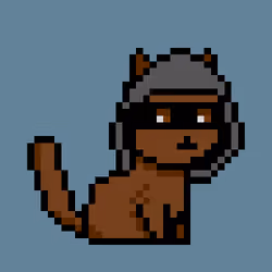 PunkCat #7243