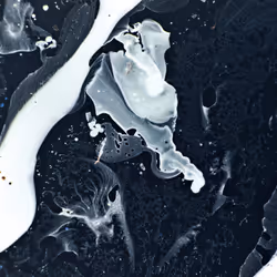 9251341193756129610411101804839683921415719585297066577807806946915100131329