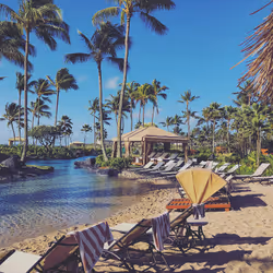 81502579898277150353033734927483914682173799916853565085596411690632760786945