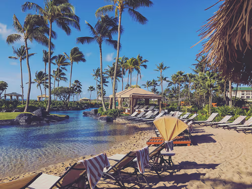 Item #81502579898277150353033734927483914682173799916853565085596411690632760786945 Media