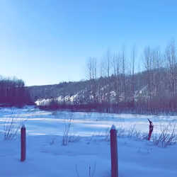 Frost