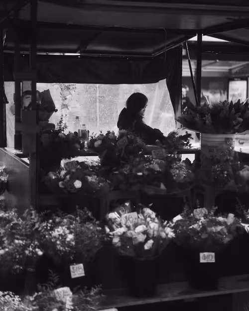 Item #23313793588102154391738159976761163979595647759939380830015107123586936078337 Media