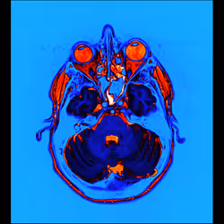 64162533542198579898252916190583583845604629893829087458582976006376761851905