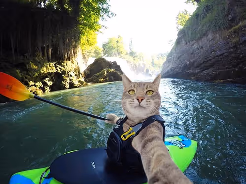 Item #12432533090897662026869168976523784185628976291471842491353891656629923872868 Media