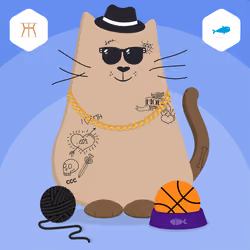 Coquito Cats