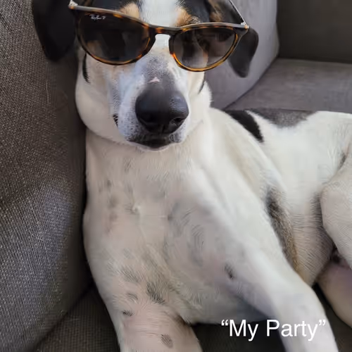 Decentralized Dog #9