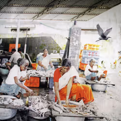 91148977893993609875712018447068443419766610272815647092173437072276147142657