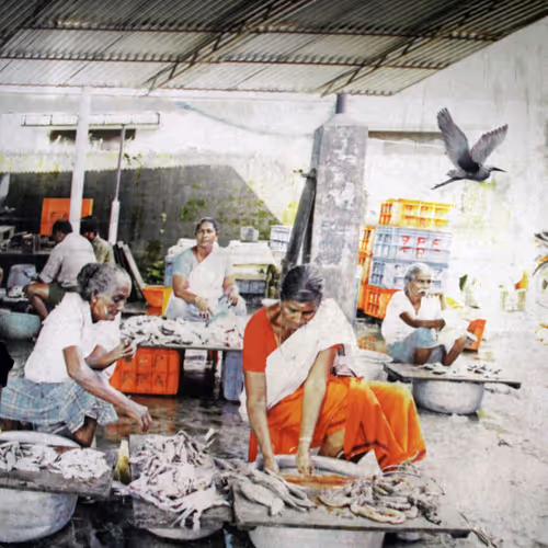 Item #91148977893993609875712018447068443419766610272815647092173437072276147142657 Media