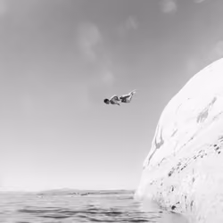 Art of Flight