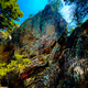 Orangerange_ Collection - old