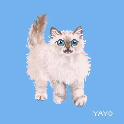 Item #13080766421190555612307919645379576803990371461875354718024555235475164495882 Media