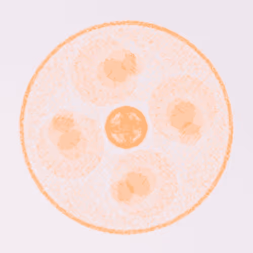 Item #56973419019861600765457047389383188289079904378367063993006434966627378266113 Media