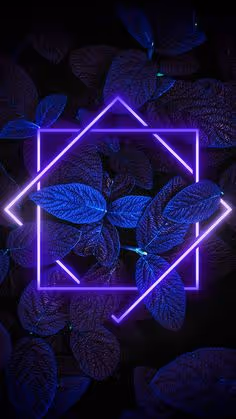 Item #92477199435376610494991766029366991700117357612985570429136997758719489998849 Media