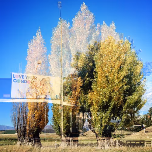 Item #59100591460969090848093152469102707440885830414673782650703488512676316839937 Media