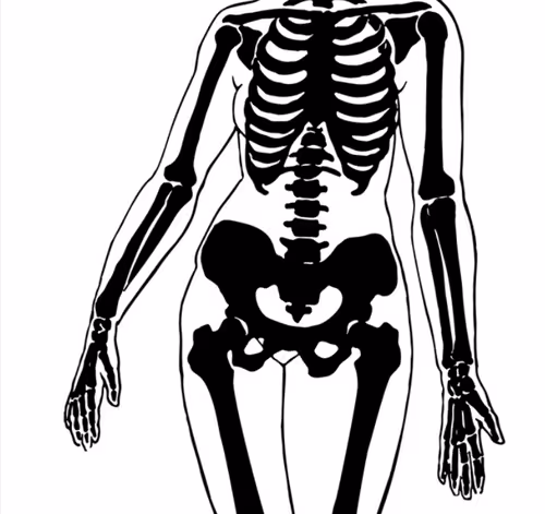 Untitled Collection #167459038