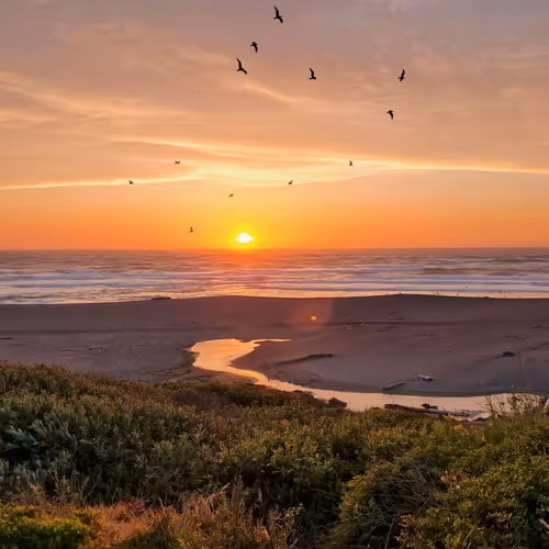 Coastalsunsets