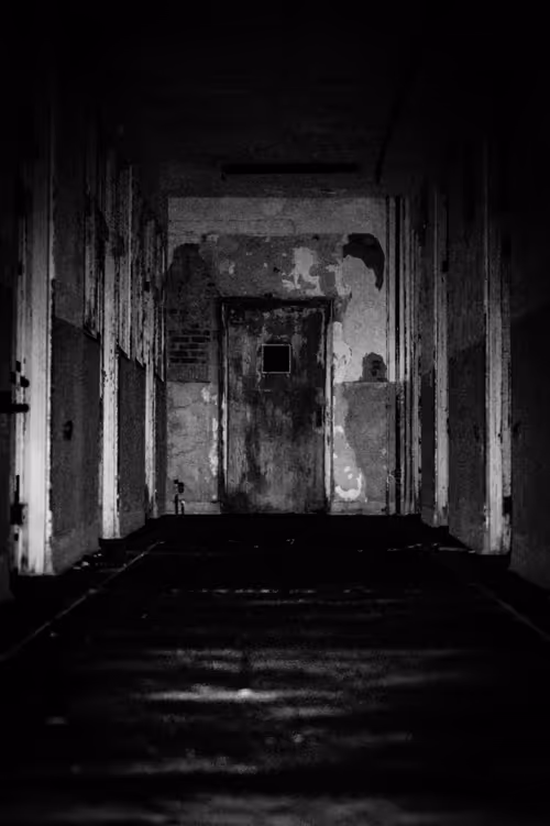 Item #82183435787039742687817407369025087190302189840279601090903984542948794564609 Media