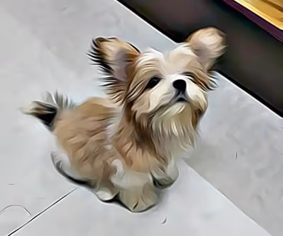 Item #21607923784025543658024067331009769919395041958272689574271021119961877708801 Media