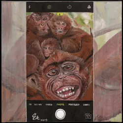 59067870065368934502935841375294017786448649552118110072315624186876864233473