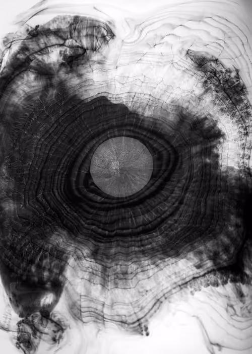 Item #16101337722085282298689115621610294664144615347996772178843194446123555094529 Media