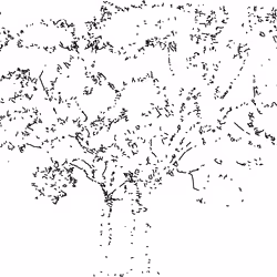 SunTree#6