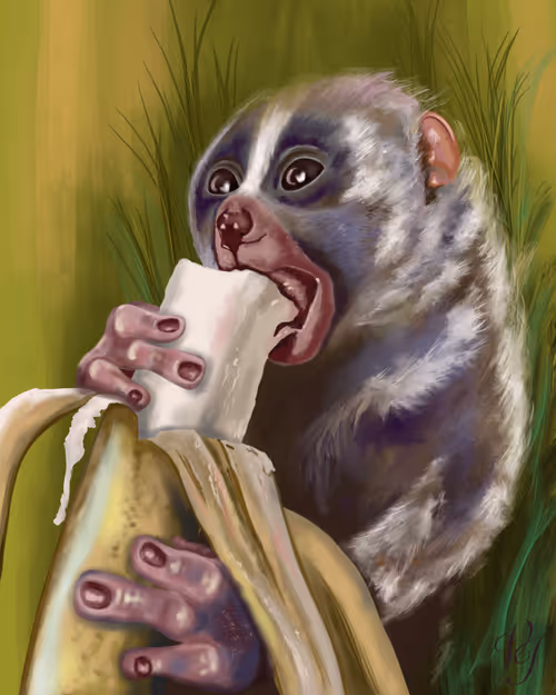 Item #94981154362063459207844817363479043295283699495702042811010306608381613309953 Media