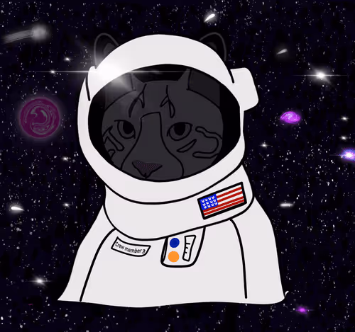 Item #70185404796241736686894648591657382044370526855751203463950819591704851513345 Media