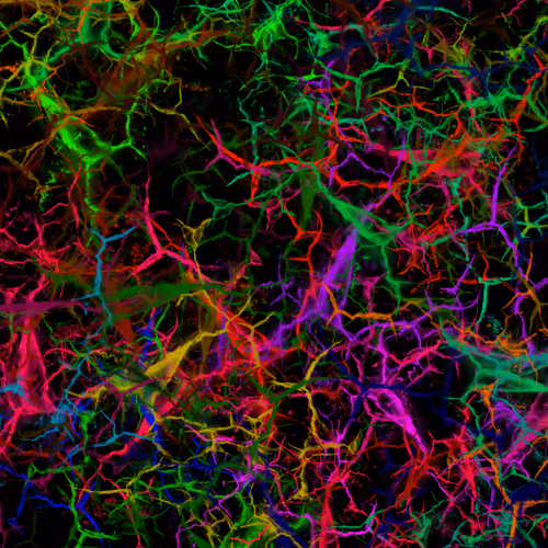 Item #50918555062582210159273167721725581522404743190091886750106034838813143990273 Media