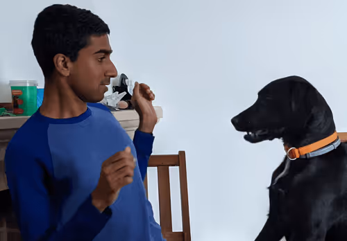 tomjwhite Collection